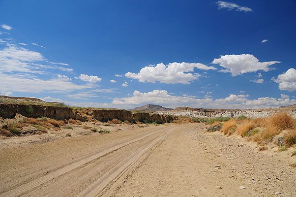 DSC_2617.jpg (4288x2848) NIKON D300 - 18-200mm f/3.5-5.6 // F8 // 1/250 sec // ISO 200 // 18,0 mm // no Flash // 2008:07:16 14:25:53 DSC_2617.jpg (4288x2848) NIKON D300 - 18-200mm f/3.5-5.6 // F8 // 1/250 sec // ISO 200 // 18,0 mm // no Flash // 2008:07:16 14:25:53